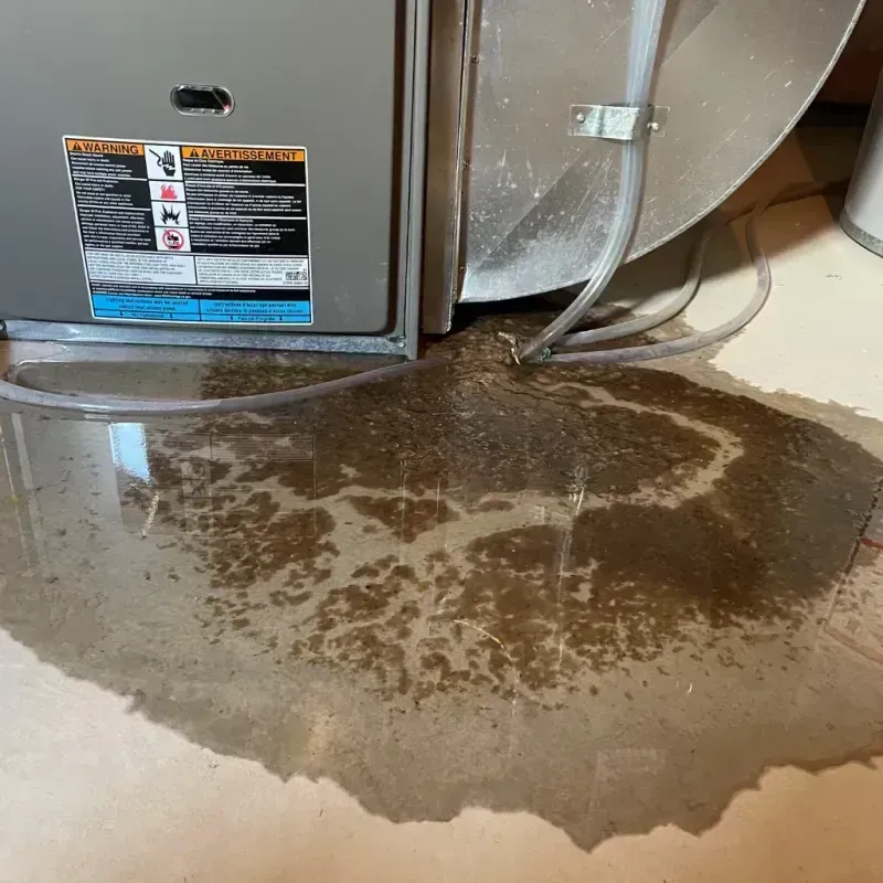 Appliance Leak Cleanup in Ore City, TX